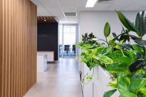 Banyo Offices Fitout 5